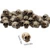 Mini Skulls Decor Skeleton Head 20 Pieces Small Mini Skulls Special Decoration Realistic Skeleton Skulls Crafts Decoration