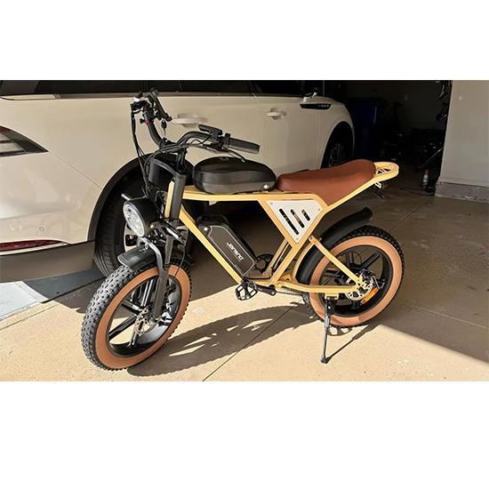 Bicicletta elettrica JANSNO X70, motore brushless, doppie batterie al litio 48V 34Ah, per uso esterno, pneumatici da 20 pollici, bicicletta elettrica da montagna