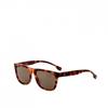 58mm Havana Sunglasses