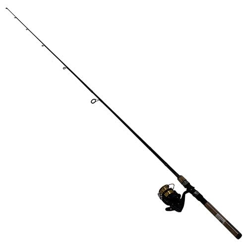 Daiwa D-Shock DSK FW Spin Rolle PMC