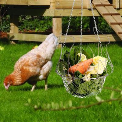Hängender Hühnerfutterkorb Gemüse Obst Eisen Edelstahl Maschengeflecht Vogelfutter