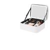 2025 High-Capacity LED Makeup Case: Portable Travel Bag with Mirror & Light