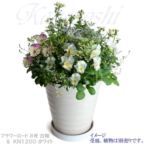 Mikawa Ware KANEYOSHI Ceramic Flower Flower White Size Made in Reliable Domestic Quality Pot, Road, Glaze, 8, Japan,