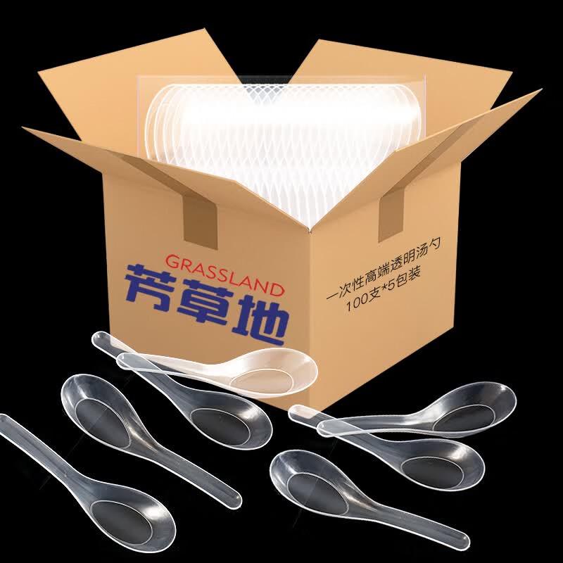 Disposable Individually Wrapped Plastic Spoons, 500-Count