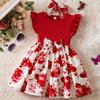Toddler Girls Sleeve Birthday Party Dress