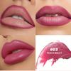 2-in-1 Matte Lipstick and Lip Liner Cone Tip Velvet Lipstick Pencil Silky Texture Waterproof Long-lasting Lipsticks Lip Combo Liner Lip Liner Stick