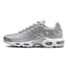 Nike Air Max Plus Metallic Silver Sneakers Casual Shoes FJ1012-095
