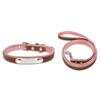 Stainless Steel Iron Lettering Pet Collar Leather Dog Chain Cat with Large  Medium and Small Dog Pet Supplies