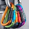 D-shape Quick Release Carabiner Electrophoresis Outdoor Sports Buckle  Outdoor Camping