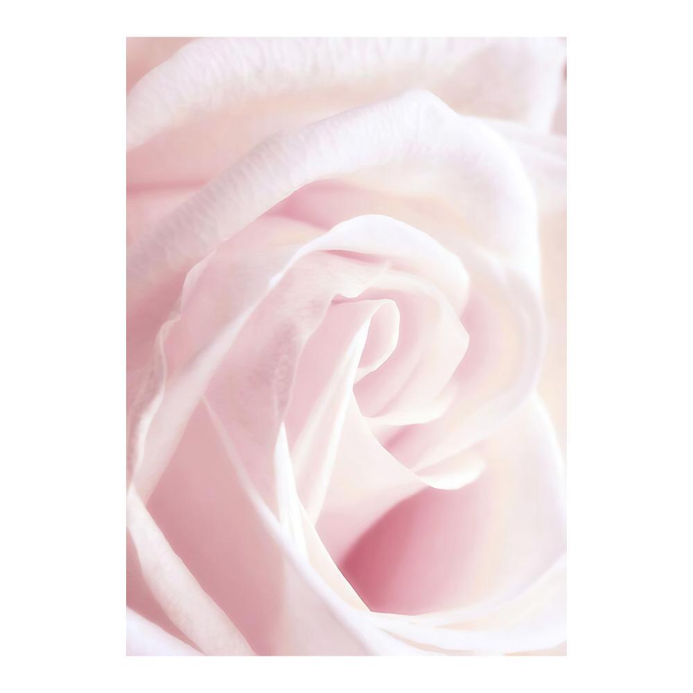 Scandinavian Pink Flower Cherry Blossom Rose Peony Nordic Posters And Prints Wall Art Canvas Painting Wall Pictures For Living Room
