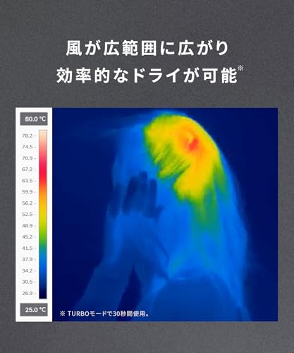 SALONIA Speedy Ion Hair Dryer, High Airflow, Fast Drying, Lightweight, Negative Ion Hair Dryer SL-013AGR, Gray [Amazon.co.jp Exclusive]