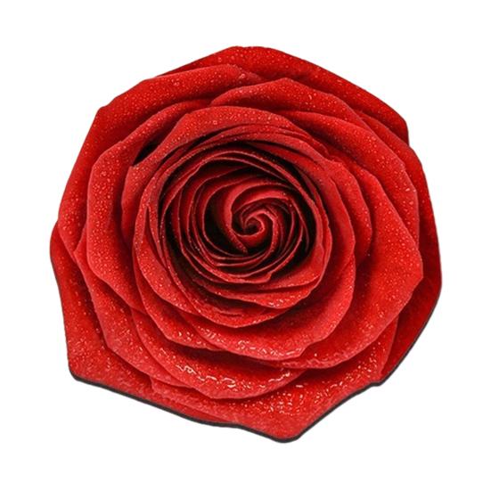 Floral Plush Floor Mat 3D Visual Flower Shaped Floor Rug Mat for Bathroom Quick-Drying Non-Slip Absorbent