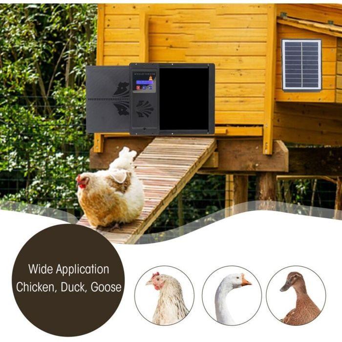 Porte automatique de poulailler AIMOONSA - ouvre-porte électrique LED, minuterie programmable, anti-pincement, noir