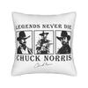 Approved Chuck Norris Square Pillow Cases  Cushion Cover Customized Zipper Decor Pillowcase for Living Room xcm