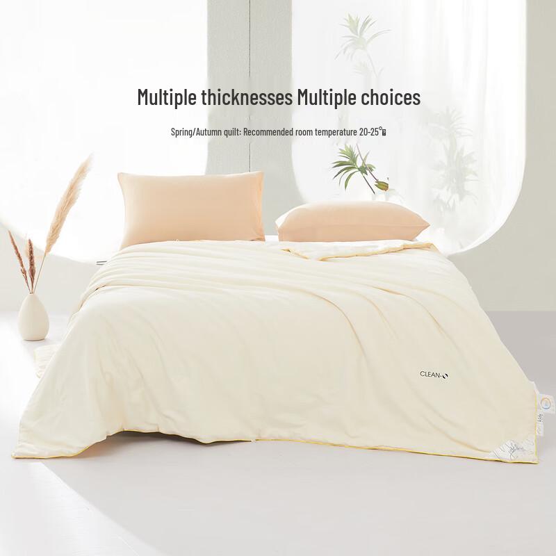 

Mercury Home Tussah Silk Quilt