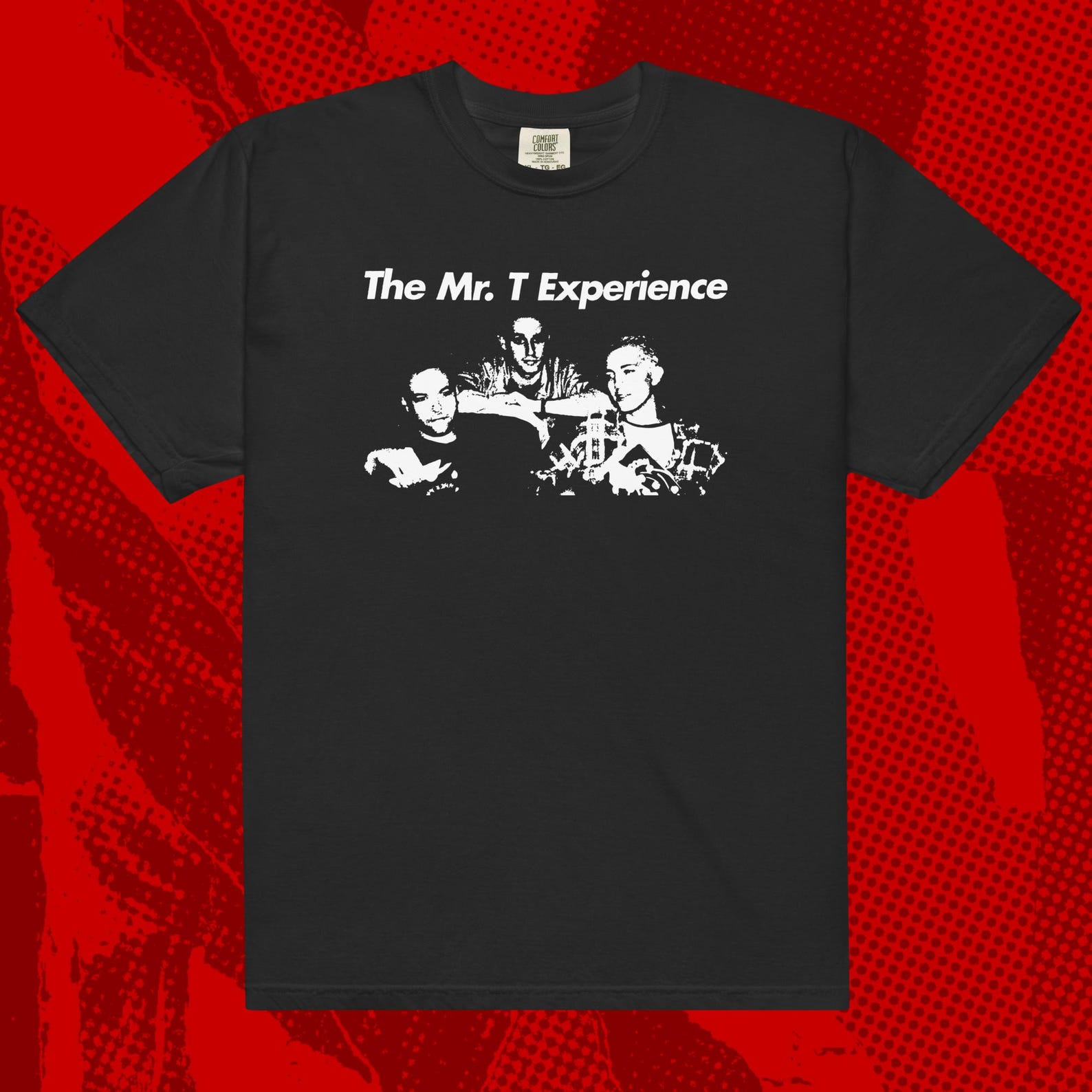 Mr T Experience Shirt | Pop Punk Green Day Lookout Crimpshrine J Church L