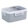 LUNCH BOX for school Raccoon plastic LUNCH BOX
