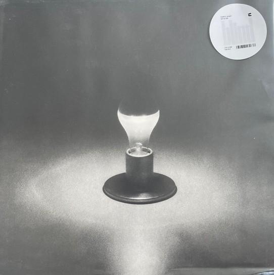 LP Record GABRIEL BRADY  Dayblind TU013LE TONAL UNION 2025 Germany CountryFolk