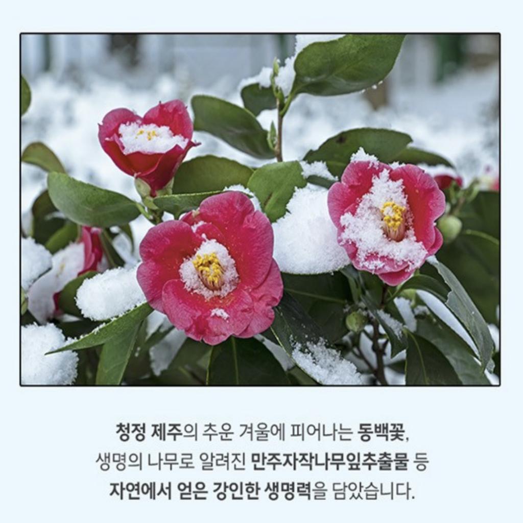 [Lamelin] Camellia Sunstick SPF 50+ PA++++ 14g