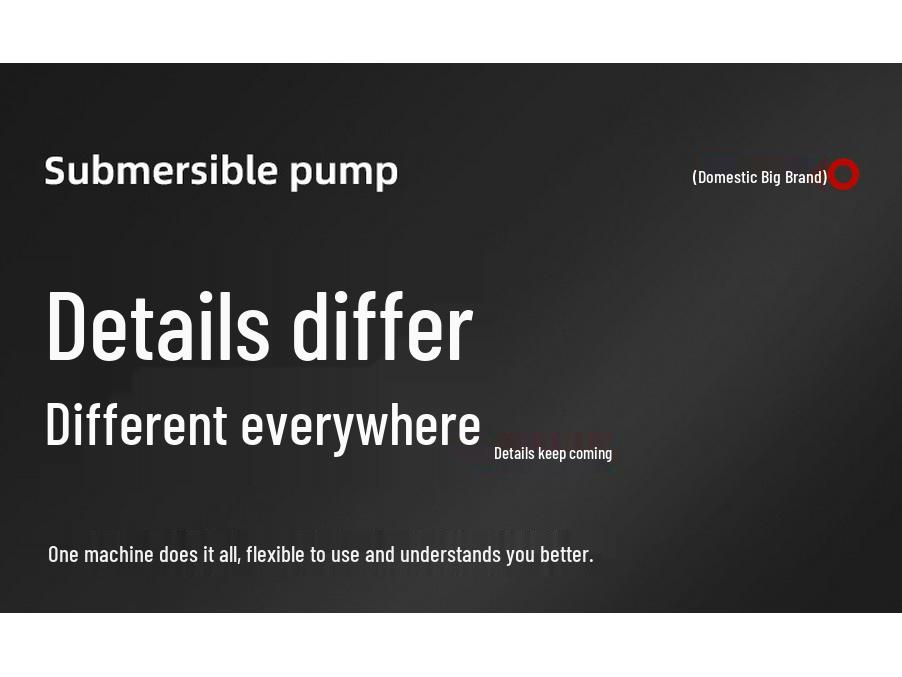 220V Hochleistungs-Tauchpumpe für Haushalt und landwirtschaftliche Bewässerung