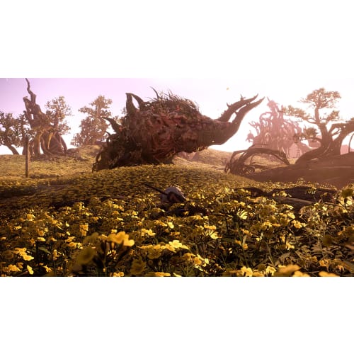 wild hearts  import version: north america  - ps5