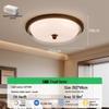 French Mid-Century Ceiling Light with American Retro and Song Dynasty Style - Eye-Friendly Lighting for Bedroom, Dining Room, or Study.