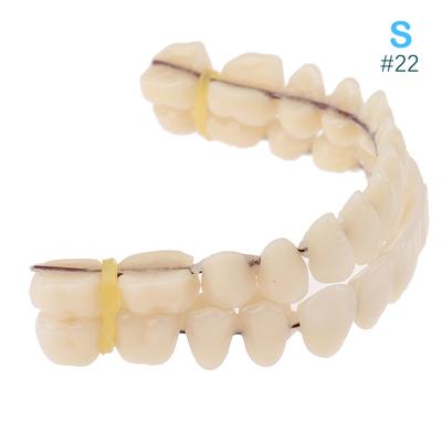Modello didattico per denti finti in resina per denti da 28 pezzi, protesi dentale, modello didattico