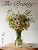 Modern Minimalist Glass Vase for Tulips & Ranunculus - Hydroponic Decor Accent for Living Room