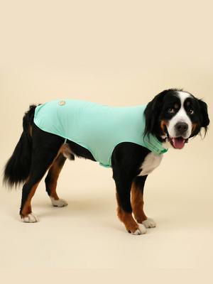 ANGEL DOG Puppy Summer Clothes Gaerism Cool Vest Mint