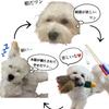 Hunt the Toy Dog Teaser That Lets You Retrieve Toys for Very Small and Small Dogs 2 - (pole + Toys)