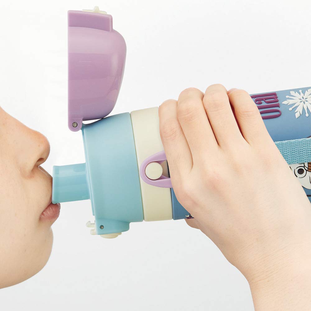 Skater Water 3D Stainless Frozen Disney SDPV5 Kids' Direct-Drink Bottle, Pattern, Steel, 480ml, 2,