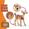 Schleich Wildlife Deer Ages Realistic Animal Toy 14820 White-tailed (Baby) Figurine, 3+,