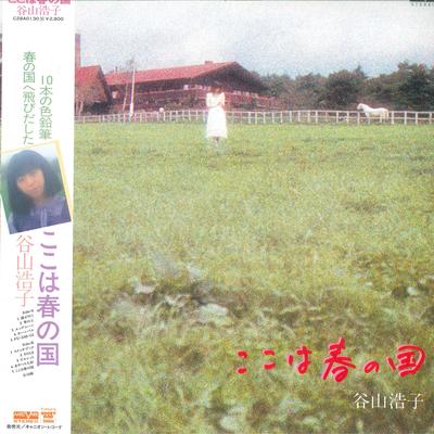 LP Schallplatte HIROKO TANIYAMA - Koko Ha Haru No Kuni C28A0130 AARD VARK 1980 Japan Obi Japanischer Pop/Rock