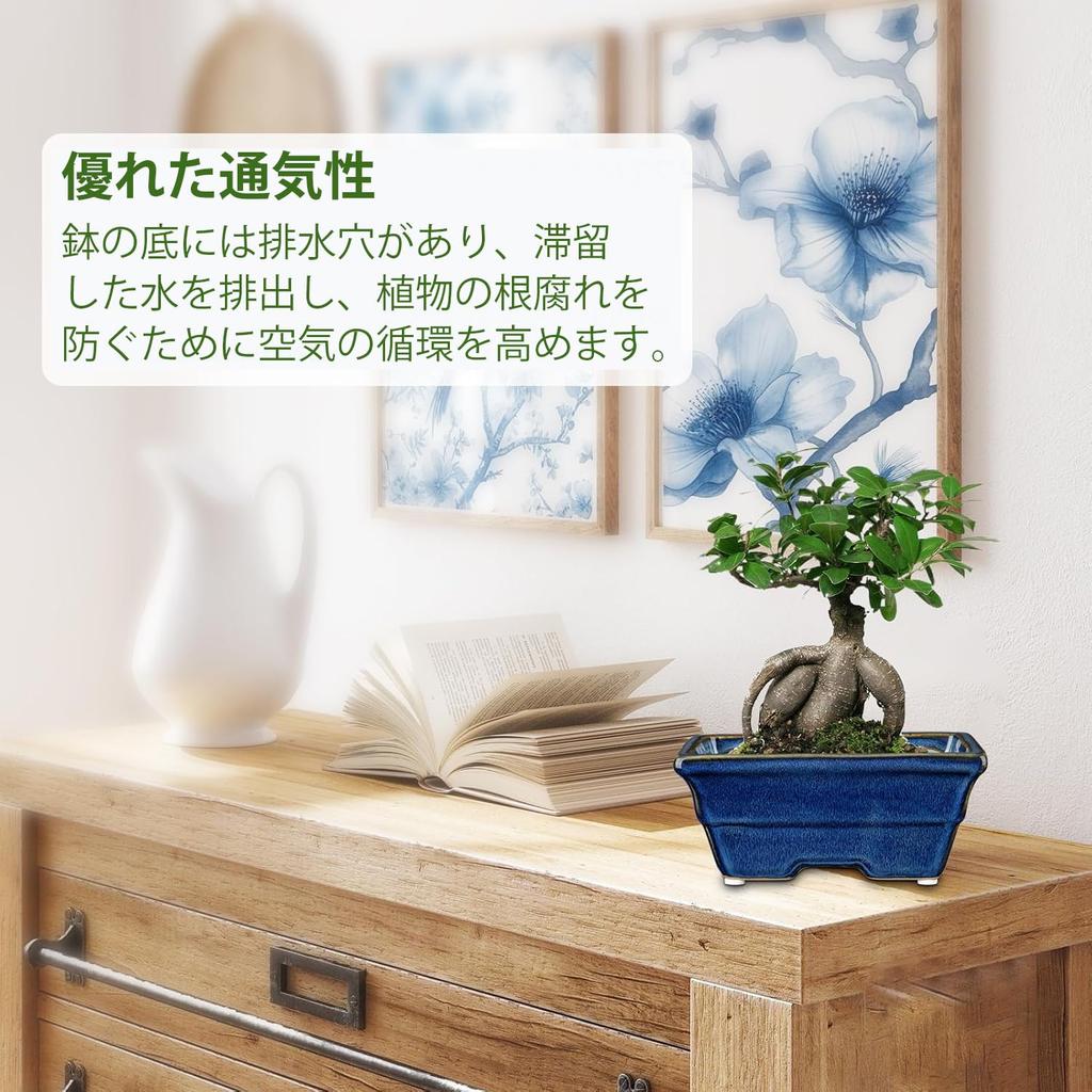 Villa Como Flower Ceramic Bonsai Succulent Cactus Potted with Indoor Blue Pot, Pot, Pot, Pot, Pot, 2-Piece Set, Planter, Small, Plant, Holes,