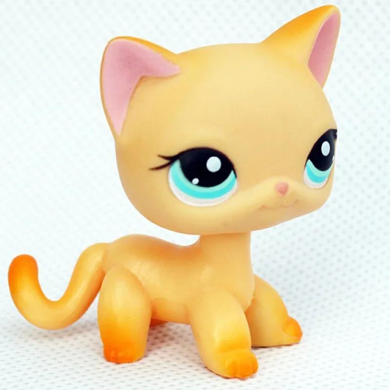 Rare Littlest Pet Shop Lps Toy Toy Mini Stands Short Hair Kitten Old Figures Collection Al Bobble Head Toy