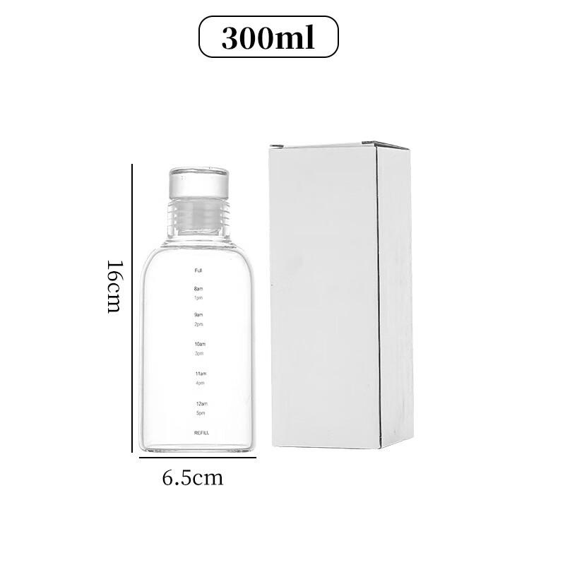 SX Time Marker Borosilicate Glass Water Bottle