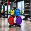 Barbell Plate Storage Rack Space-Saving Disc Stable for