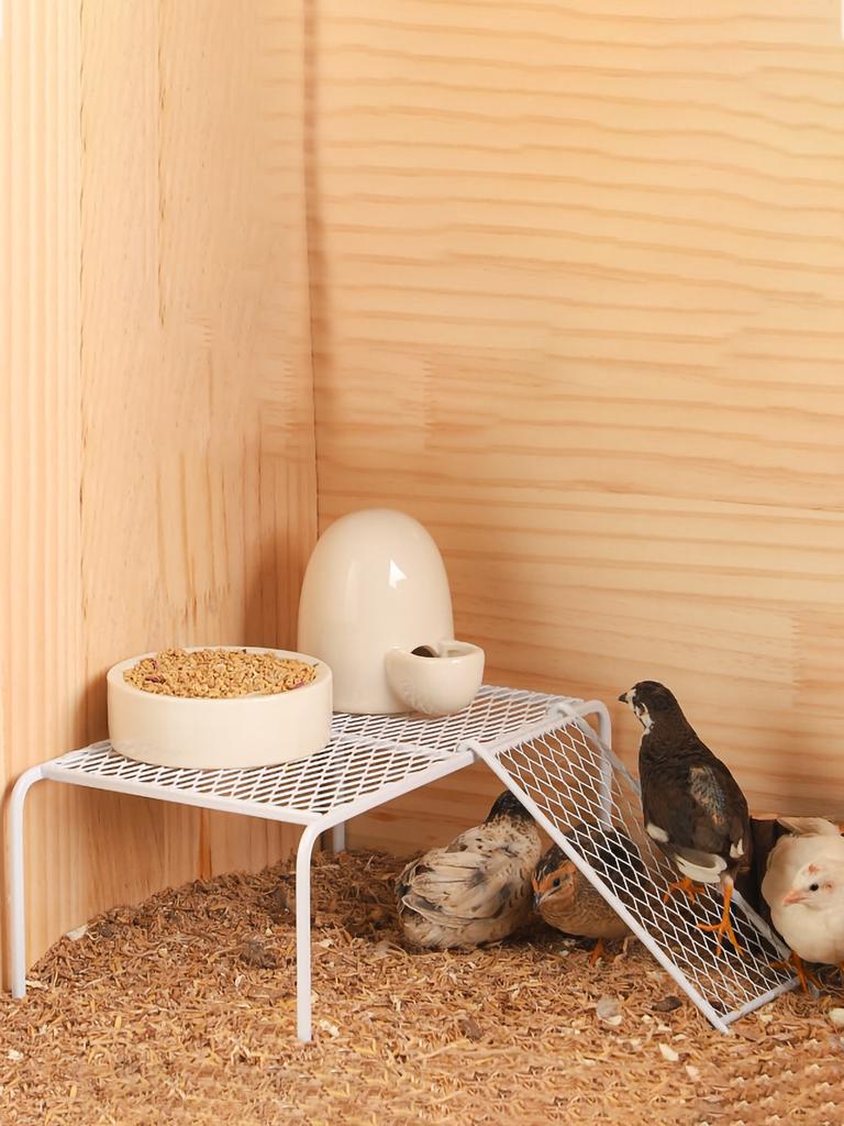 1pc-Rutin Chicken Platform Rutin Chicken Cage Landscape Platform Metal Chicken Rack