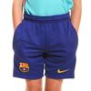 Nike Kids Elastic Waist Mid-Rise Casual Shorts Kids Shorts Blue DJ8751-455
