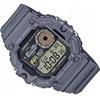Watch CASIO WS-1700H-8A