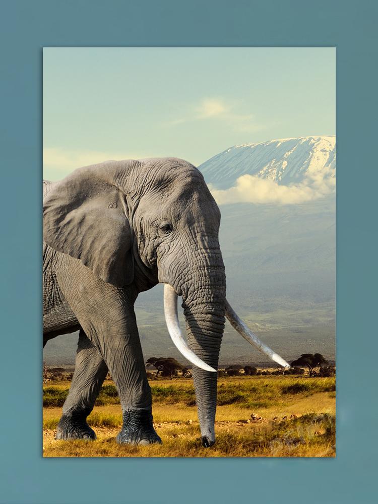 African Elephants Posters Modern Home Decor Animal Canvas Prints Wall Art Pictures for Living Room Interior Decorative Painting
