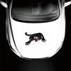 Accesorii de exterior – Autocolante pentru auto