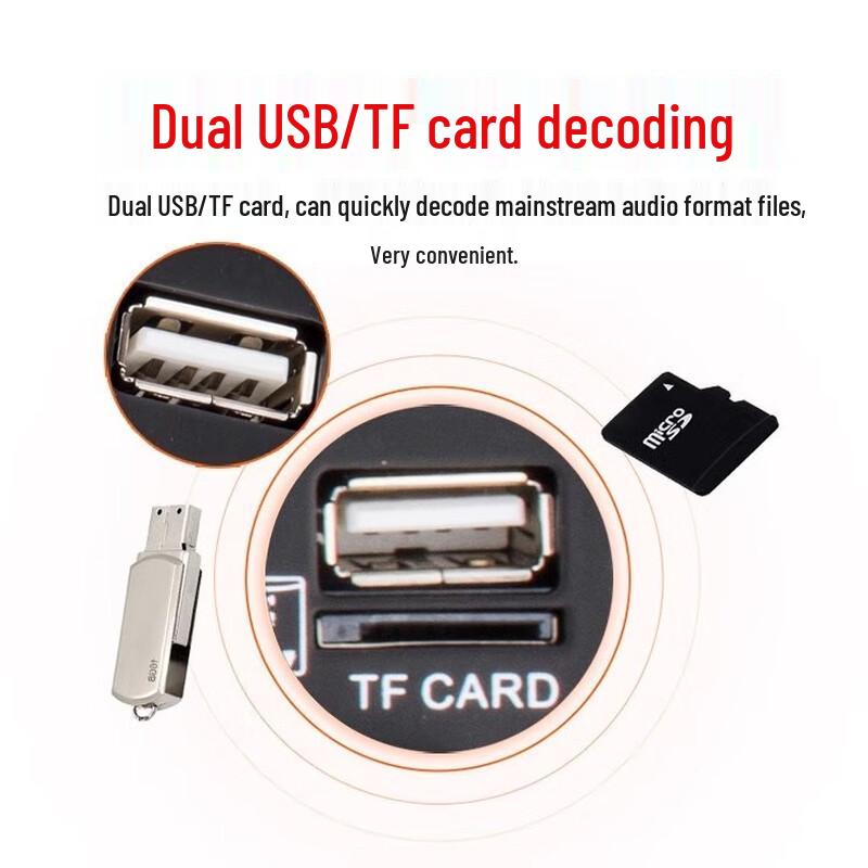 GAV K118 8-inch Portable Outdoor Speaker with Wireless Microphone