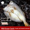 Huang Xiaoyu Yellow Croaker Seafood Selection