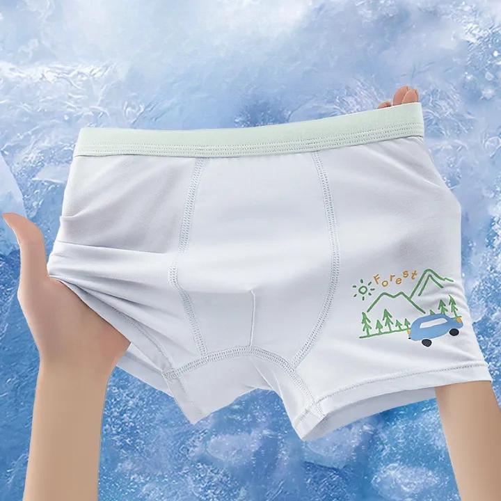 4Pcs Cute Cartoon Boys Modal Boxer Briefs Summer Breathable Soft Kids Daily Underwear Comfort Kids Shorts