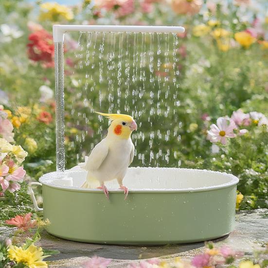 Parrot Bath Anti-Splash Bird Shower Quiet USB Powered Pump Automatic Bird Shower for Cockatiels Conures Parakeets Lovebirds