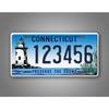Customizable 6x12 Inch Metal License Plate for Car & Wall Decoration