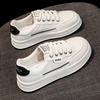Korean Board Shoes Women's New Spring and Autumn Niche Original Casual Shoes Soft-soled Sports Shoes Versatile