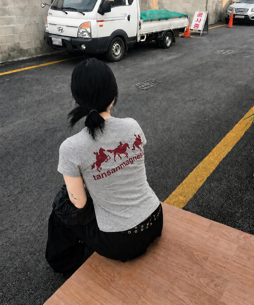 Tansanmageunesyum Horse Rabbit T-Shirt (Gray/Red)