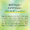 Seiko Additive-Free Jabara Juice Kitayama Village 5 Bottles Pollen Narirutin Jabara Evil Spirit
